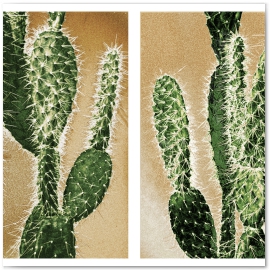 Cacti a Go Go 
© 2013 Jason Haza