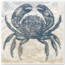 Crab in Blues. 
©2013 Jason Haza