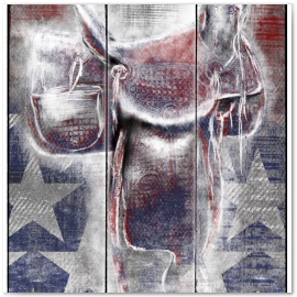 Saddle I. Red White & Ride Series. ©2013 Jason Haza