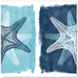 Starfish in Blues,  Blue Coastal Series © 2013 Jason Haza